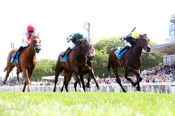 Mqse De Sevigne arrivée pmu Prix Jean Romanet (Gr.1) 2024 à Deauville