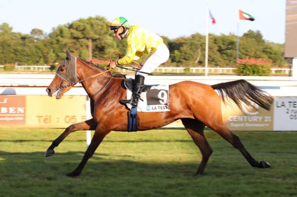 EDELWEIS DU CARNOT