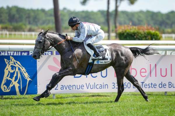 INTISAR DE MONLAU