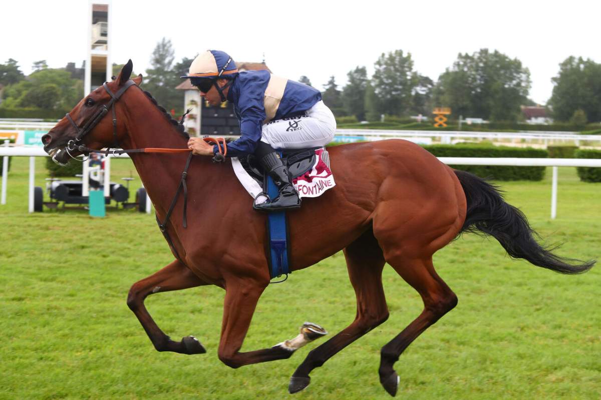 pronostic-quint-pmu-du-prix-de-la-foret-de-fontainebleau-du-20-avr-2026