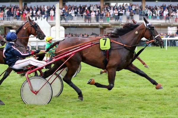 Harry De Sassy Arrivée Quinté+ PMU Prix V And B - Trophée Vert Finale à Craon