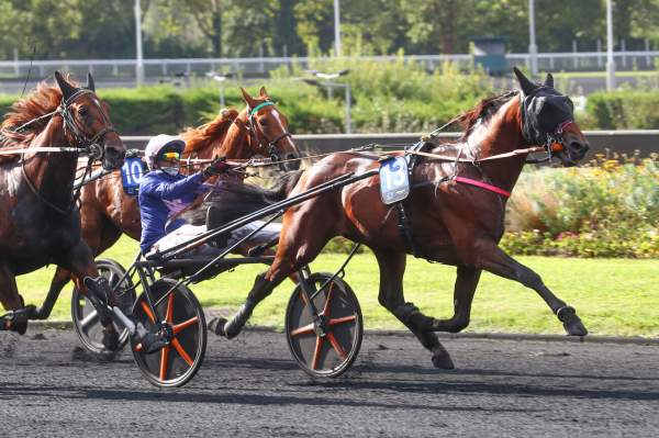 Lovino Bello Arrivée Critérium des 3-ans 2024 à Vincennes