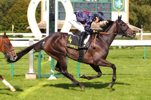EMPRESS STAR