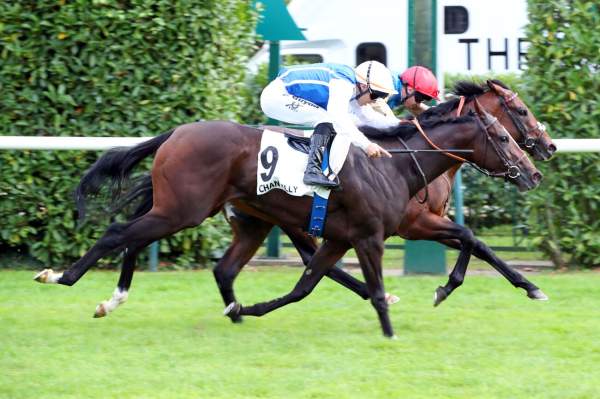Electrolyte Arrivée PMU Prix Eclipse à Chantilly