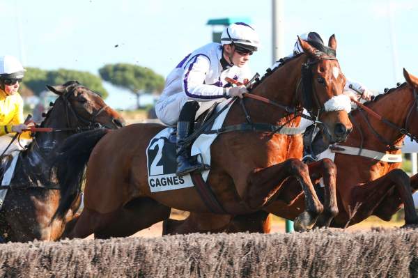 TORONADO BELLO