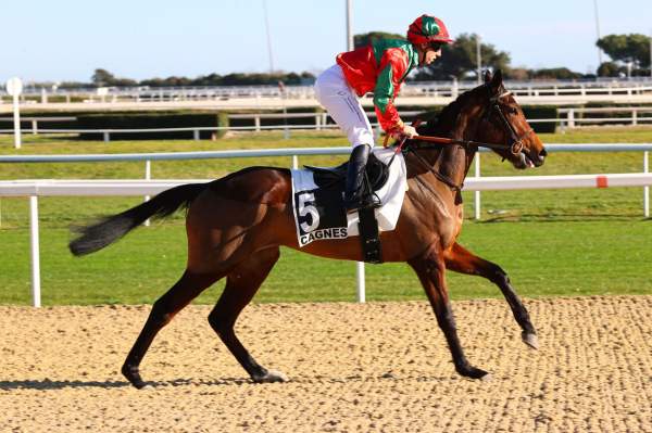 GRECIAN COMET