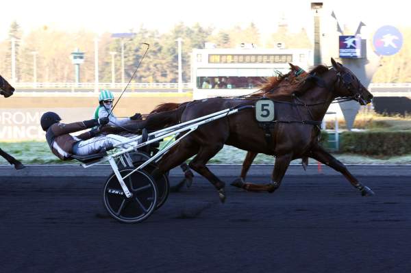 Chestnut Arrivée Quinté+ Pmu Prix de Brionne à Vincennes