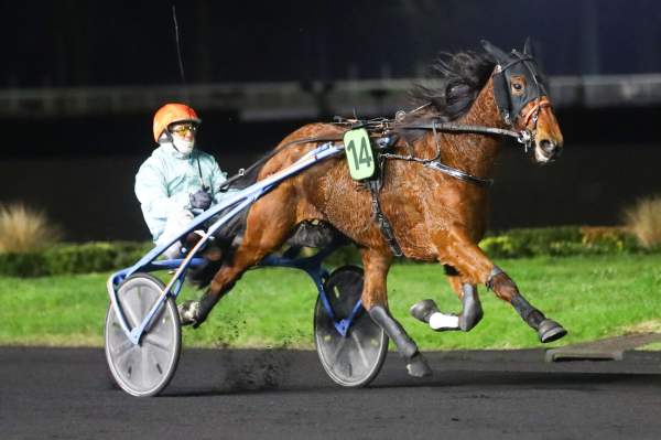 LADY DES ARRIS