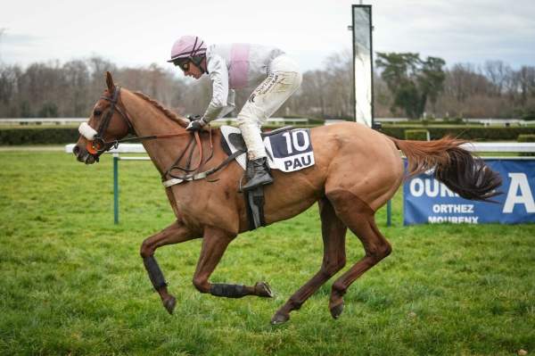 FRIPON DU SEUIL