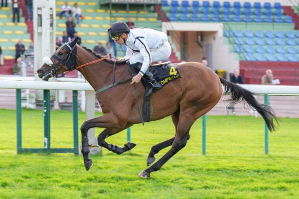 Celtic Warrior Arrivée Pmu Prix de la Gascogne à Compiègne