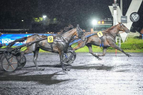 Indice D'Argent Arrivée Quinté+ Pmu Prix Ludovica à PARIS-VINCENNES