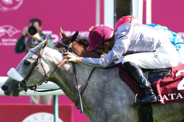 Hajmah Arrivée PMU Qatar Arabian Trophy des Juments - Pouliches 4 ans 2025 à ParisLongchamp