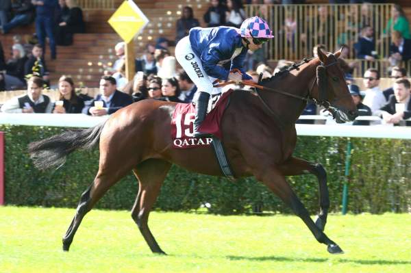 La photo de Gilded Dragon