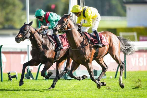 Ridari Arrivée pmu Prix Daniel Wildenstein (Gr.2) à Longchamp