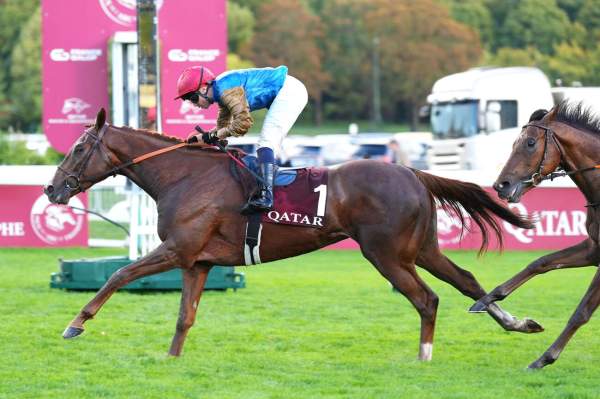 First Look arrivée pmu Prix Dollar (Gr.2) à Longchamp
