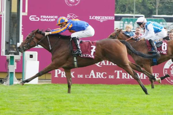 Diamond Necklace Arrivée Qatar Prix Marcel Boussac - Critérium des Pouliches 2025 à ParisLongchamp