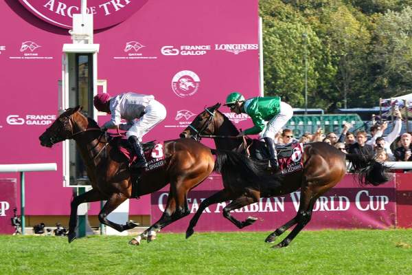 Al Ghadeer Arrivée PMU Qatar Arabian World Cup 2025 à ParisLongchamp