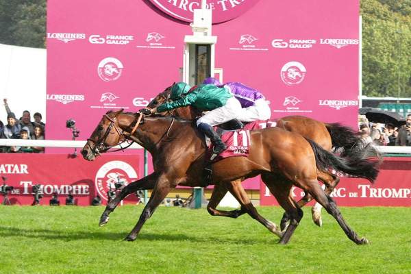 Daryz Arrivée Quinté+ Pmu Qatar Prix De L'Arc De Triomphe 2025 à ParisLongchamp. Mickael BARZALONA / Françis-Henri GRAFFARD