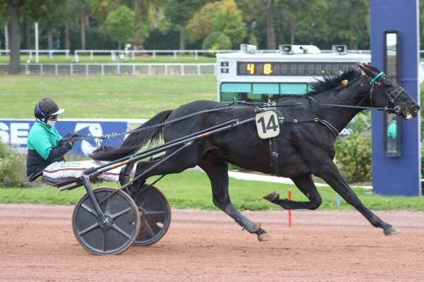 La photo de Insight Spoken