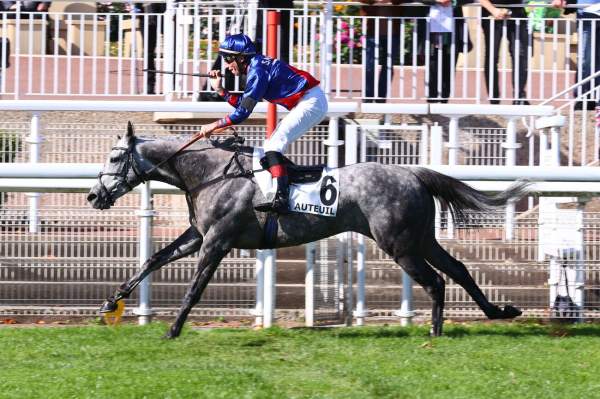 Grey Fighter Arrivée Quinté+ Pmu Prix Guillaume De Pracomtal à AUTEUIL