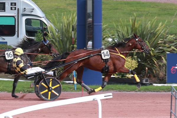 Jolydole Arrivée Quinté+ Pmu Prix Armand De Bellaigue à ENGHIEN