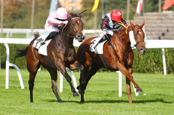 Seona Arrivée Quinté+ Pmu Prix De Versailles à SAINT CLOUD