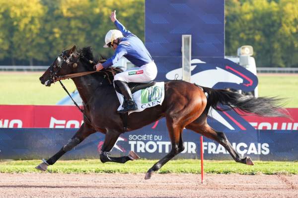 Memphis De Brasse arrivée pmu Saint-Leger des trotteurs (Gr.I) à Caen