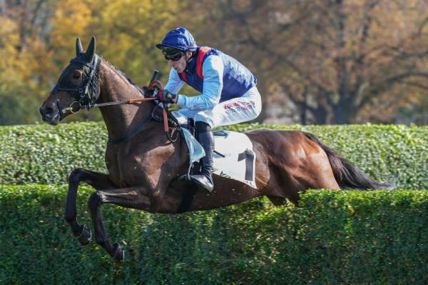 Nador arrivée pmu Prix Noiro (L) à Auteuil