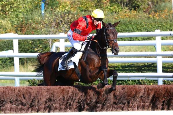 Lauthentyko arrivée pmu Prix Bayonnet à Auteuil