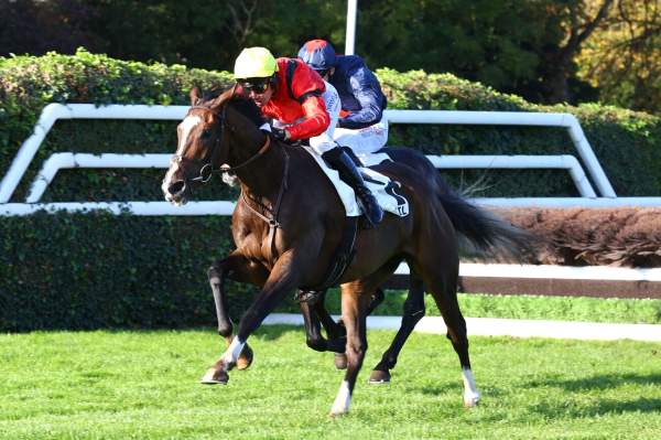 Leopard Du Berlais Arrivée PMU Prix Georges de Talhouet-Roy à Auteuil