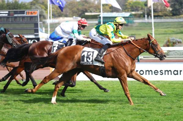 Max Verst arrivée Quinté+ pmu Prix Jules Morgan à Marseille-Borelly