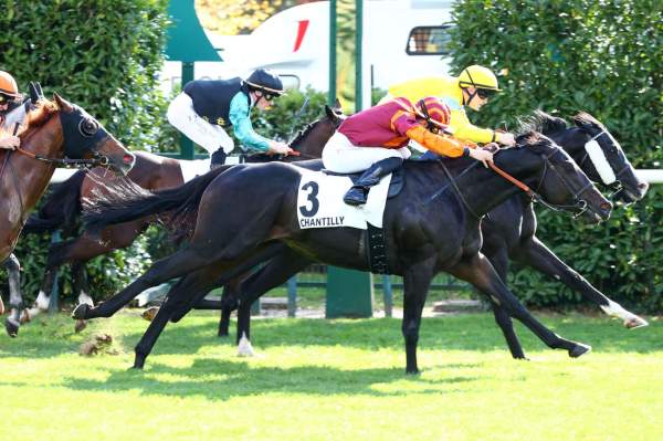 Bacchilide Arrivée Quinté+ Pmu Prix De La Vierge De Lorette à CHANTILLY