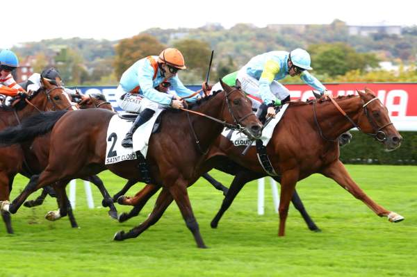 Narkez Arrivée Quinté+ Pmu Prix Des Landes à SAINT CLOUD