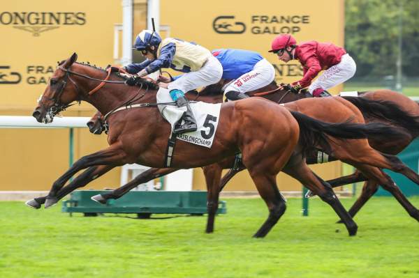 La photo de Convergent