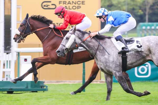 La photo de Step Morning