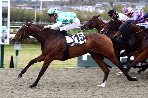 La photo de Dari River