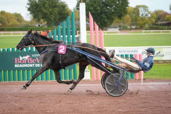 La photo de Jojo Toons