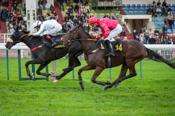 La photo de Kapaca De Thaix