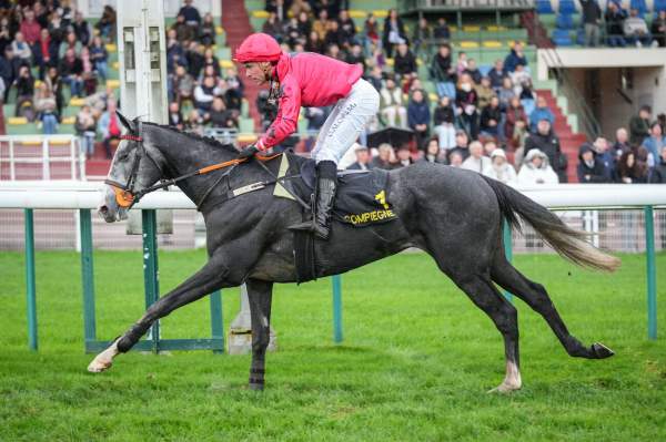 La photo de Le Petit Cheval