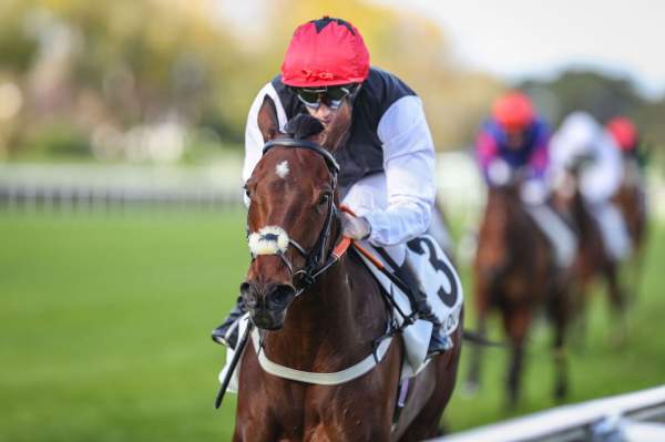 La Isla Mujeres Arrivée PMU Prix Belle de Nuit 2025 à Saint-Cloud