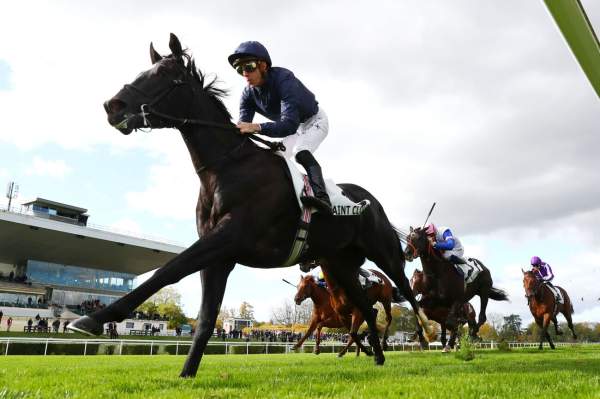 Puerto Rico Arrivée PMU Critérium International 2025 à Saint-Cloud