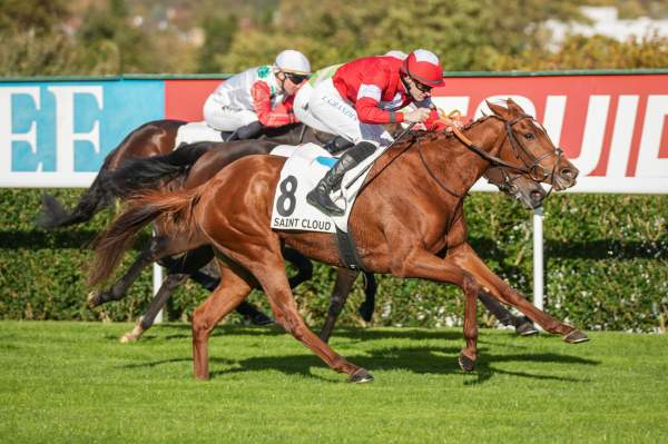 Light The Ghost Arrivée PMU Prix de Flore 2025 à Saint-Cloud
