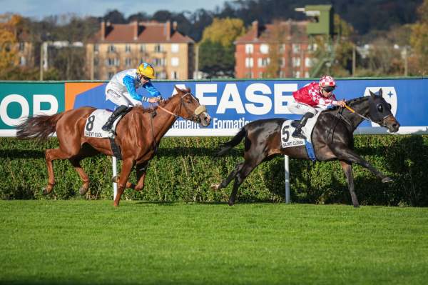 Masaiya arrivée Quinté+ pmu Prix de l’Élevage à Saint-Cloud