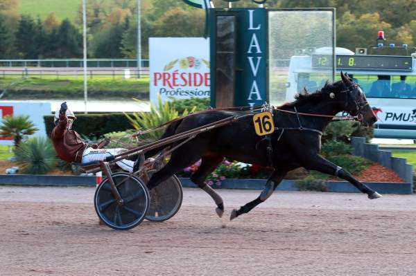 La photo de Harley Gema