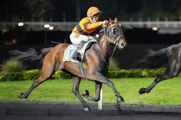 La photo de Joker De Froulay