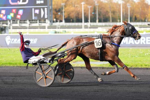 Kaline De Vivoin Arrivée Quinté+ Pmu Prix De Maure-De-Bretagne à PARIS-VINCENNES