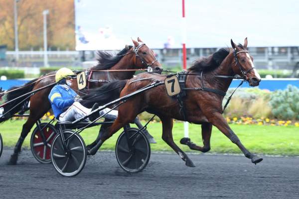 La photo de Liza Josselyn