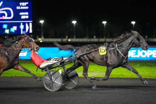 La photo de Karma Power