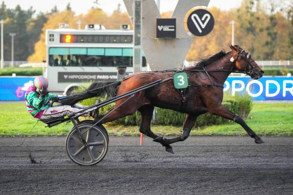 Cobra Killer Gar Arrivée PMU Prix du Languedoc à Vincennes