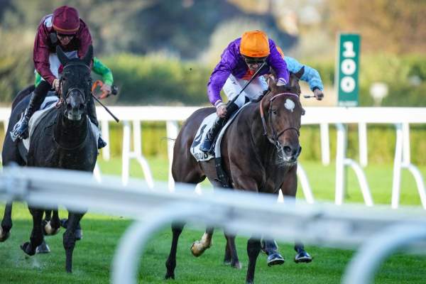 Lord Of War Arrivée Quinté+ Pmu Prix De Windsor à SAINT CLOUD